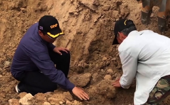 ชุดพญาเสือขุดพบซากช้างป่าที่หัวหิน