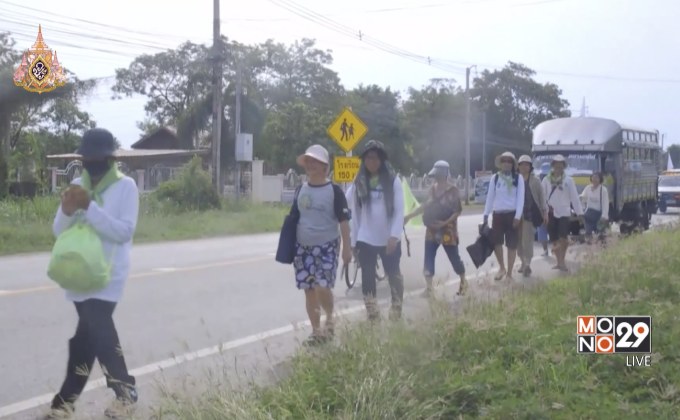 เดินเพื่อผู้ป่วย กัญชารักษาโรค วันที่ 3