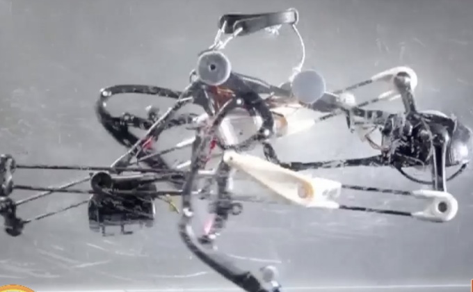 หุ่นยนต์นกกระจอกเทศ