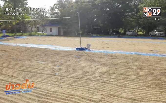 ภัยแล้งกระทบผลผลิตข้าวชาวนา