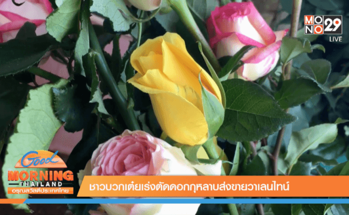 Good Morning Thailand 12-02-59