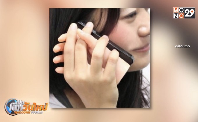 รวมผลิตภัณฑ์สุดเจ๋ง ที่สร้างมาเพื่อคนโสด