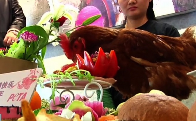 เลี้ยงอาหารไก่ต้อนรับตรุษจีน