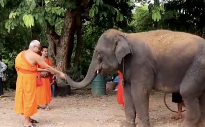 ชาวปกาเกอะญอ จ.ตาก ทำบุญขอขมาช้าง