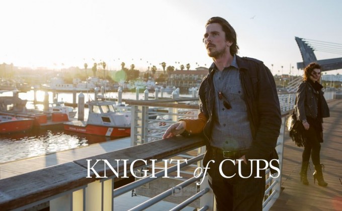 Knight of Cups ผู้ชาย ความหมาย ความรัก