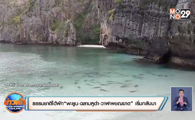 ธรรมชาติได้พักฟื้น! “พะยูน-ฉลามหูดำ-วาฬเพชฌฆาต” เริ่มกลับมา