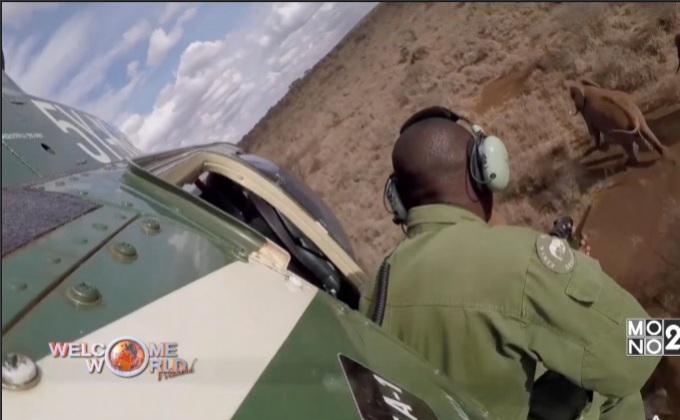 ปลอกคอติดตามช่วยลดปัญหาช้างกับมนุษย์