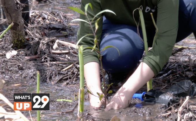 ปตท. บางกะเจ้า