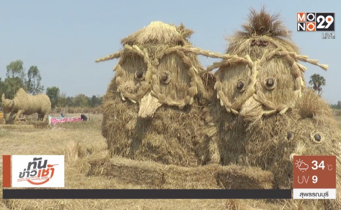 เทศกาลหุ่นฟางยักษ์ จ.มหาสารคาม