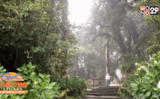 ดอยอินทนนท์พร้อมเปิดเส้นทางศึกษาธรรมชาติ 1 พ.ย.