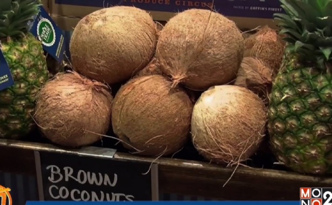 กระแสความนิยม “มะพร้าว” ในสหรัฐฯ