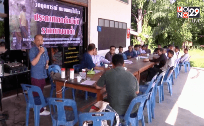 นัดเคลื่อนไหวเรียกร้องแก้ปัญหาราคายางพารา