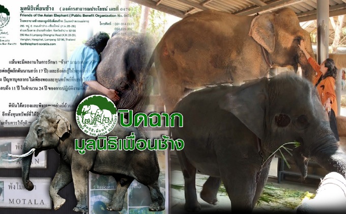 ปิดฉากมูลนิธิเพื่อนช้าง