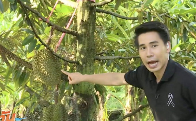 สวนทุเรียนนนท์