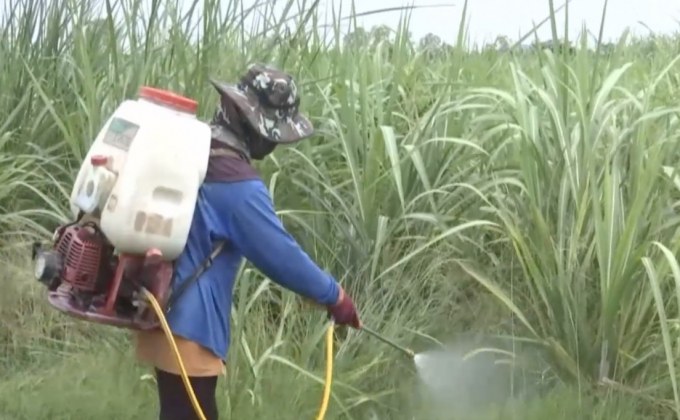 “มนัญญา” เตรียมขอออก พ.ร.ก.แบนสารเคมี