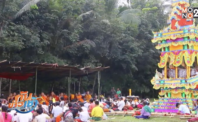 พบเหมยขาบแรกของปี ที่ดอยอินทนนท์