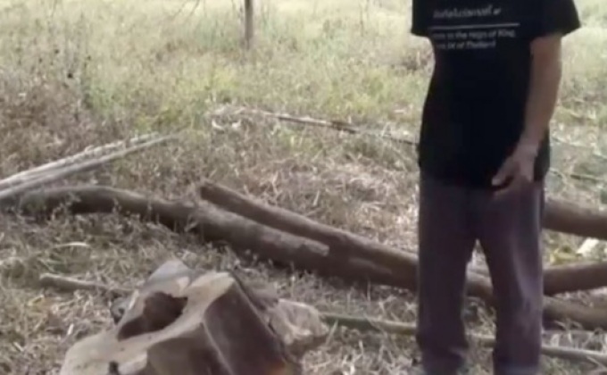 ศาลไต่สวนชายตัดไม้พะยูงในที่นาตนเอง 23 ธ.ค.