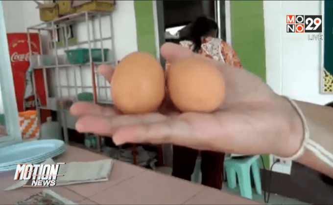 ไข่ปลอมระบาด จ.ชลบุรี    