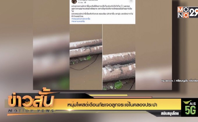 หนุ่มโพสต์เตือนภัยเจอลูกจระเข้ในคลองประปา