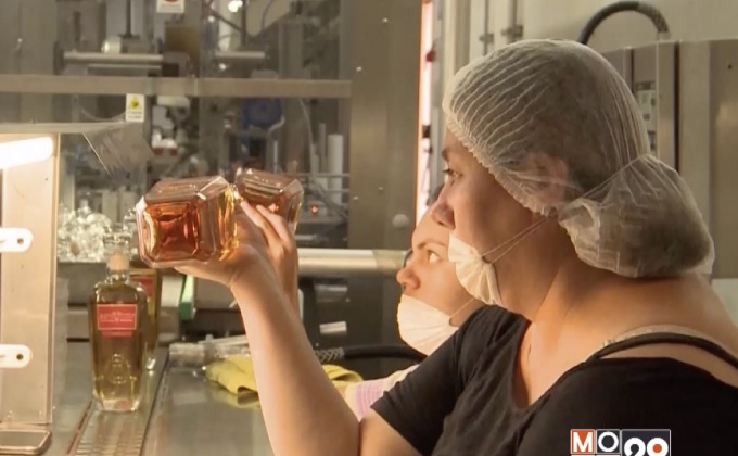 “ค้างคาว” กับอุตสาหกรรม “เตอกีล่า” ในเม็กซิโก