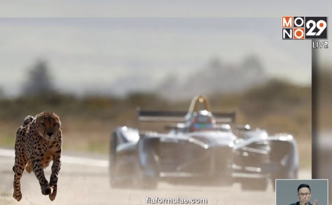 รถ “Formula E” ดวลความเร็ว “เสือชีตาห์”