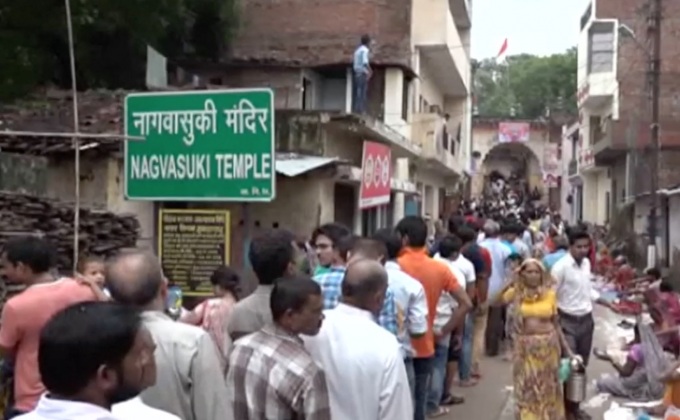 ชาวอินเดียเฉลิมฉลอง “เทศกาลไหว้งู”