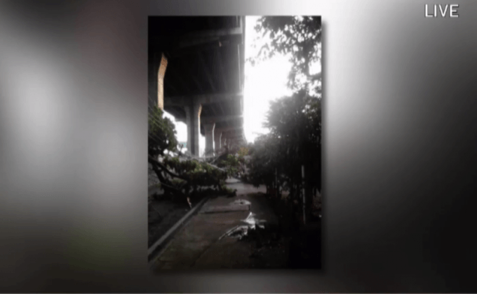 กฟน. เร่งแก้ปัญหาต้นไม้ล้มทับสายไฟฟ้าแรงสูง