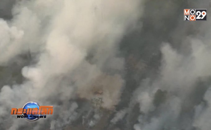 วิกฤตไฟป่าอะเมซอนกระทบหนักสัตว์ป่า