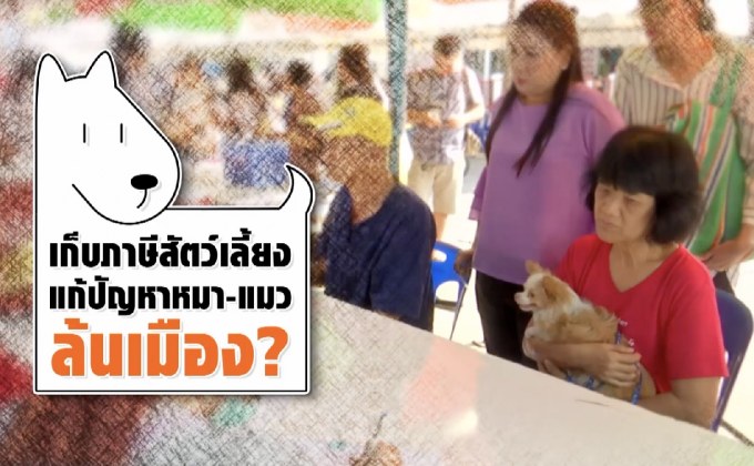คุยครบกับพบเอก : เก็บภาษีสัตว์เลี้ยง แก้ปัญหาหมา-แมว ล้นเมือง?