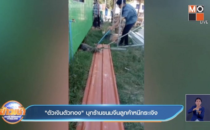 ‘ตัวเงินตัวทอง’ บุกร้านขนมจีนลูกค้าหนีกระเจิง