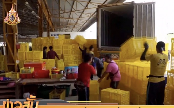 ล้งประกาศหยุดซื้อมังคุดใต้