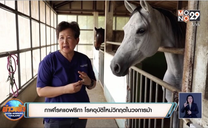 กาฬโรคแอฟริกา โรคอุบัติใหม่วิกฤตในวงการม้า