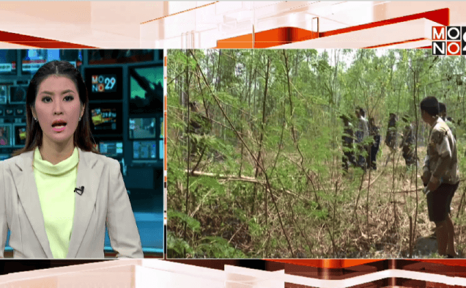 ช้างป่าเขาอ่างฤาไนทำร้ายเจ้าหน้าที่ป่าไม้เสียชีวิต