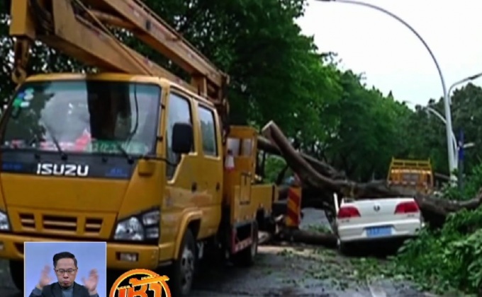 พายุฝนพัดถล่มมณฑลกวางตุ้งของจีน