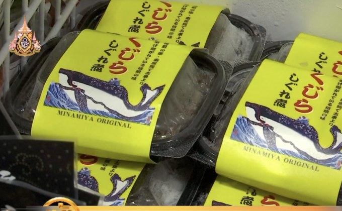 ญี่ปุ่นเตรียมล่าวาฬเพื่อการค้าอีกครั้ง