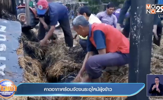 คาดอากาศร้อนจัดจนระอุไหม้ยุ้งข้าว