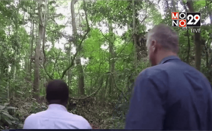 ยูกันดาตรวจสอบป่าต้นกำเนิดไวรัสซิก้า