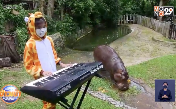ช่วยคลายเหงา จัดดนตรี ให้สัตว์ฟัง ช่วงโควิด