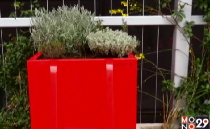 โถปัสสาวะผลิตปุ๋ยหมัก