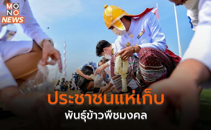 ประชาชนแห่เก็บพันธุ์ข้าวพืชมงคล หลังเสร็จสิ้นพระราชพิธีจรดพระนังคัลแรกนาขวัญ