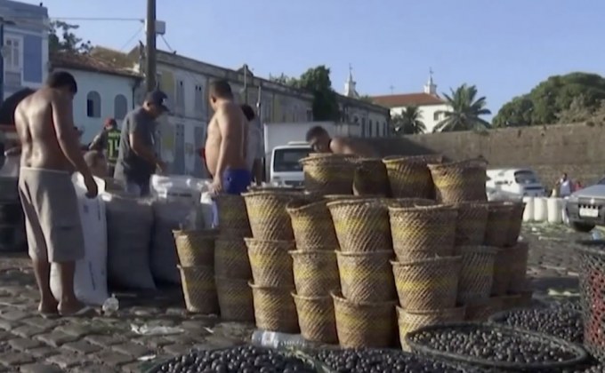 อาซาอิ ผลไม้มหัศจรรย์จากป่า Amazon