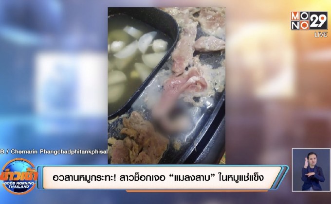 อวสานหมูกระทะ! สาวช็อกเจอ “แมลงสาบ” ในหมูแช่แข็ง