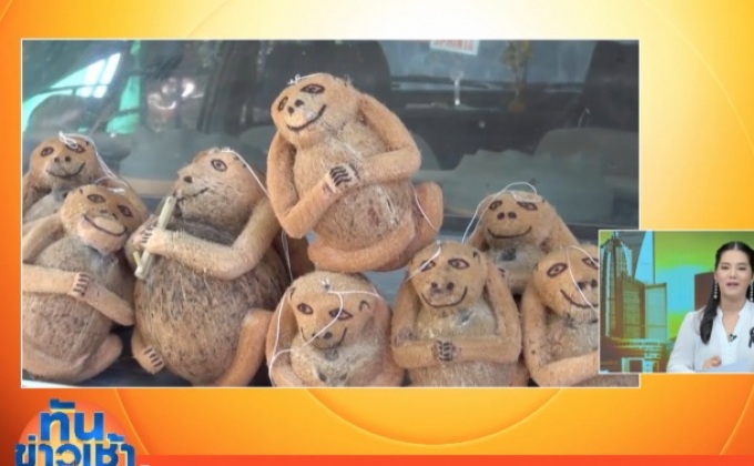 ไอเดียเก๋ แกะกะลาวานร จากลูกมะพร้าว 