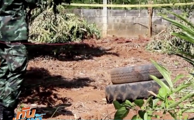 ชาวบ้าน ผงะ ถอนมันเจอระเบิด