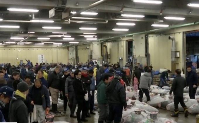 ตลาดสึกิจิประมูลปลาช่วงปีใหม่ครั้งสุดท้าย