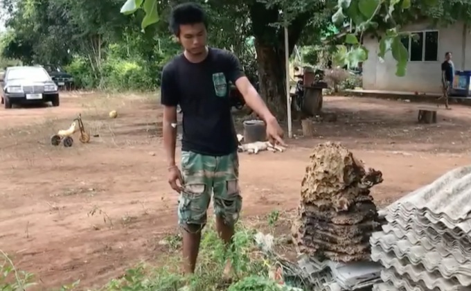 เด็กชายขวบเศษถูกต่อต่อยเสียชีวิต จ.กาญจนบุรี