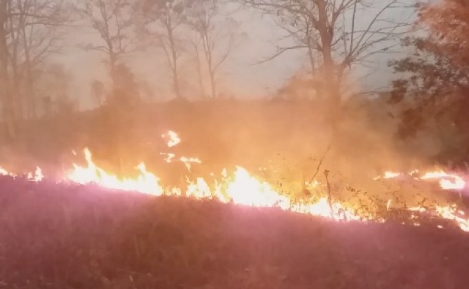 ไฟไหม้หญ้าแห้งกว่า 200 ไร่ จ.ตาก