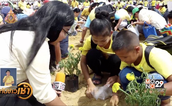 ​เมล็ดพันธุ์ข้าวพระราชทาน