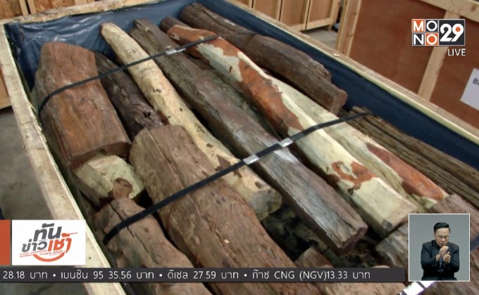 รอง ผบ.ตร.บุกจับไม้พะยูง เตรียมส่งออกจีน