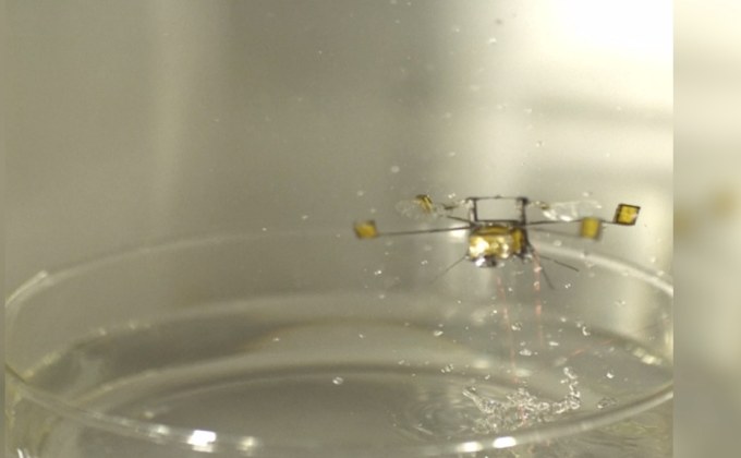 หุ่นยนต์จิ๋ว “โรโบบี” ดีดตัวขึ้นจากน้ำสำเร็จ